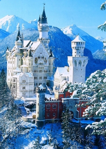 Paint by Numbers Neuschwanstein Castle 40 × 50 cm NORIMPEX