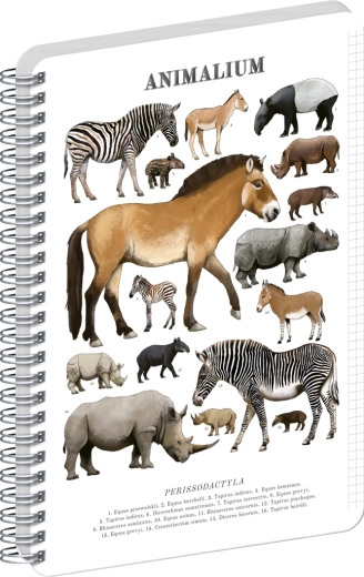 Notique spiraalköites märkmik Animalium – paarituvarbalised, A4, ruuduline