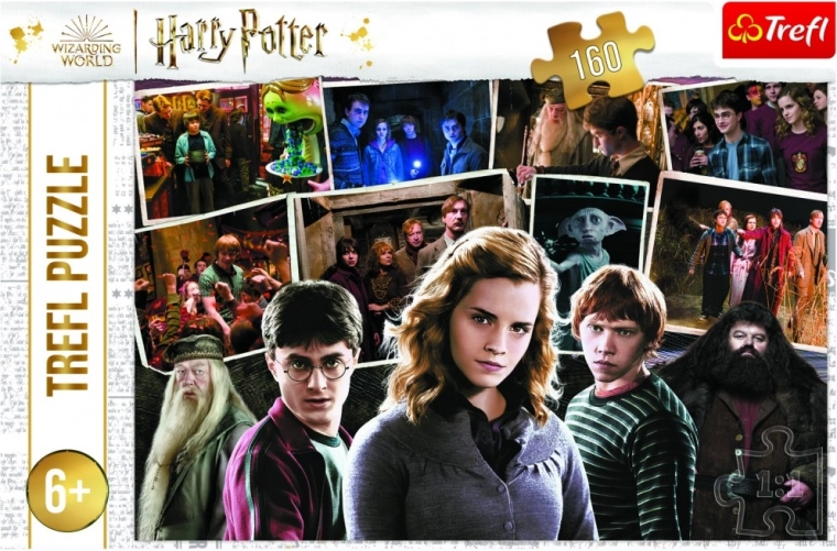 Puzzle HARRY POTTER and Friends 160 pieces Trefl