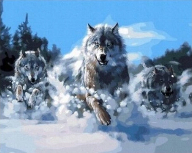 Teemantmaal „Lumises hundikarjas“ 30 × 40 cm
