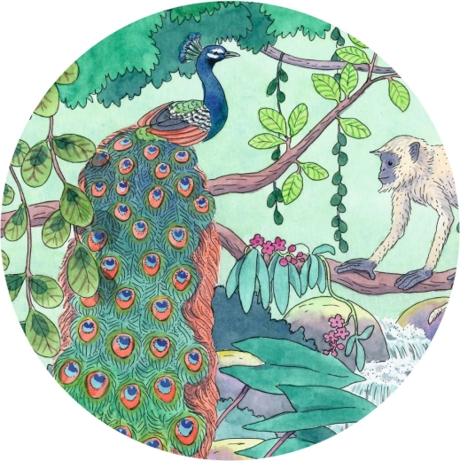 Erksavärviline illustratsioon