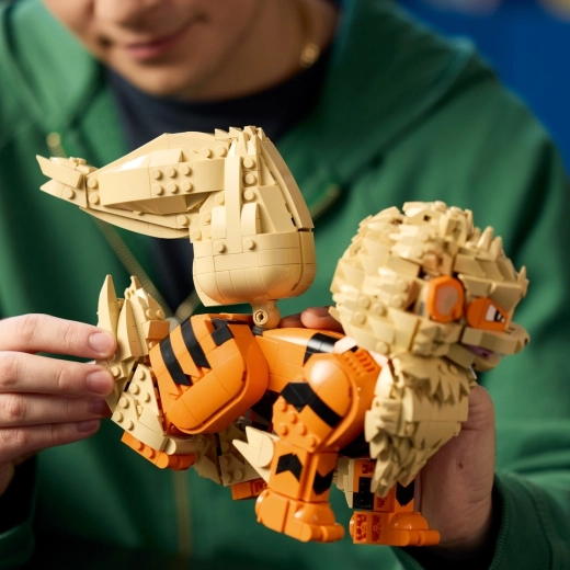 Ehita LEGO Builderi rakendusega