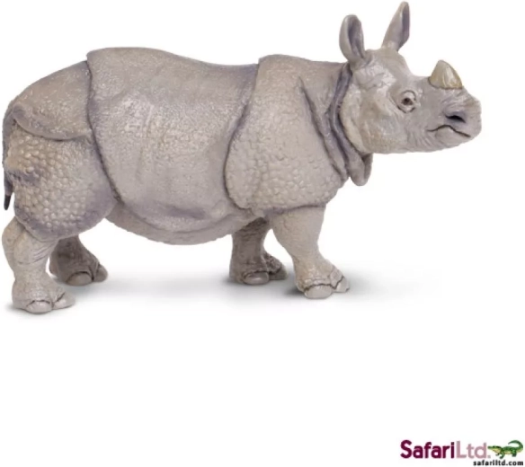 Indian Rhinoceros