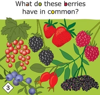 Yummy! educational game about healthy eating for children aged 3+