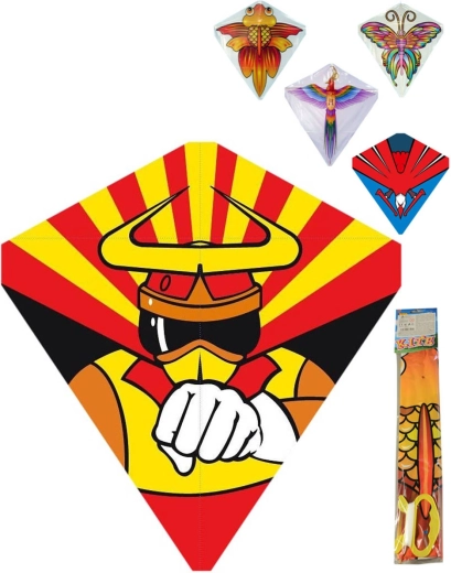 Pildiga tuulelohe 60 × 66 cm – 1 tk