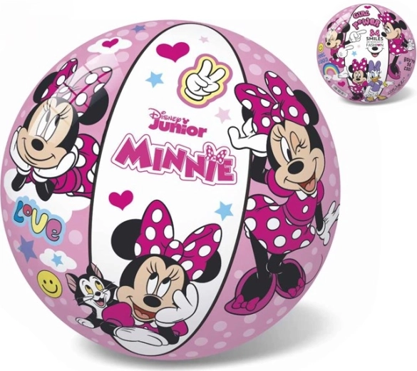 Lemmiktegelase Minnie kujutis