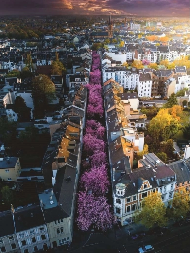 Ravensburger pusle 1500 tükki Bonn, Saksamaa