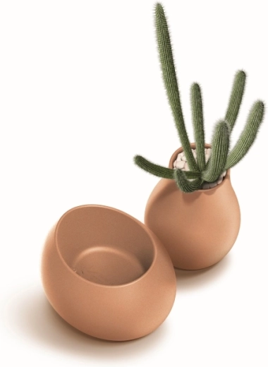 Ideal for compact plantings