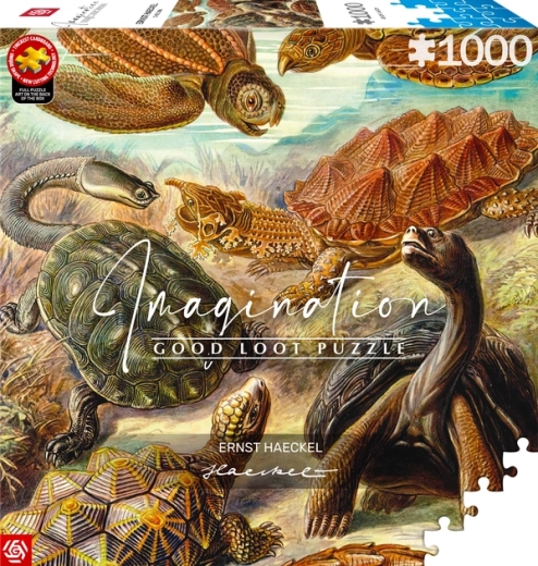 GOOD LOOT Puzzle Imagination: Ernst Haeckel – Sea Turtles, 1000 Pieces