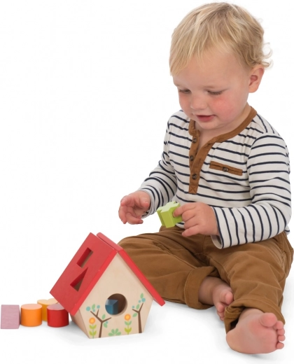 Le Toy Van puidust kujundisorteerija linnumaja