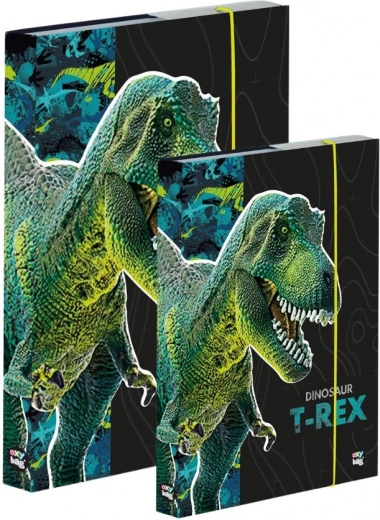 A4 ja A5 vihikukarbi komplekt – dinosaurus