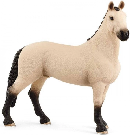 Hanoverian Gelding Figure Red Dun