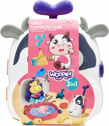 3-ühes lõbu armsas kohvris