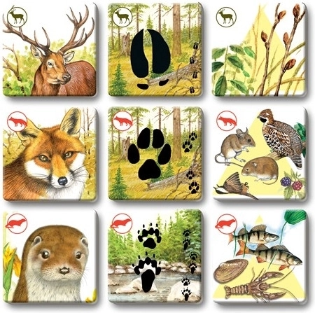 Vastupidavad kaardid sagedaseks mängimiseks