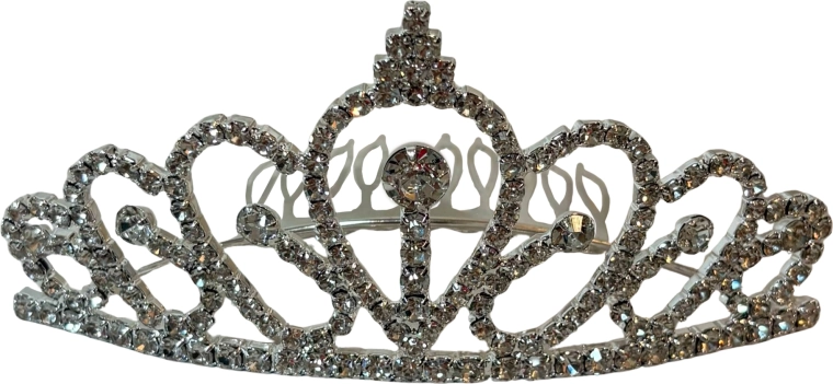 PINK Royal Crown Headband for Little Princesses