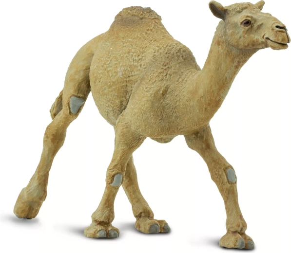 Safari Ltd. dromedary camel figure - 1 piece