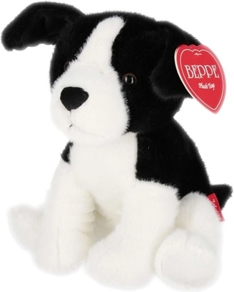 Bordercollie koer, 25 cm