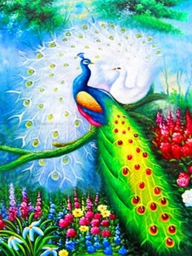 Teemantmaal – paabulinnud 30 × 40 cm