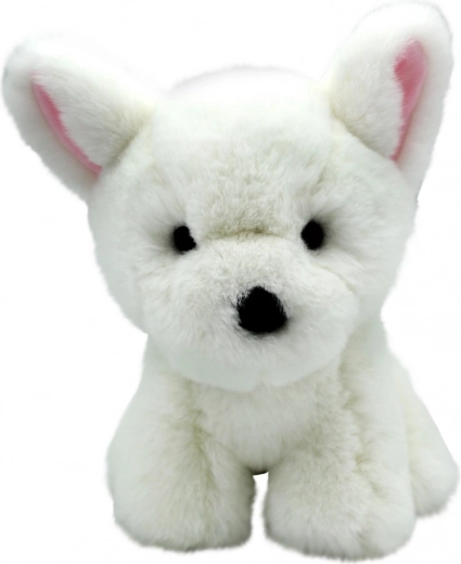 Plüüsist valge kutsu 27 cm