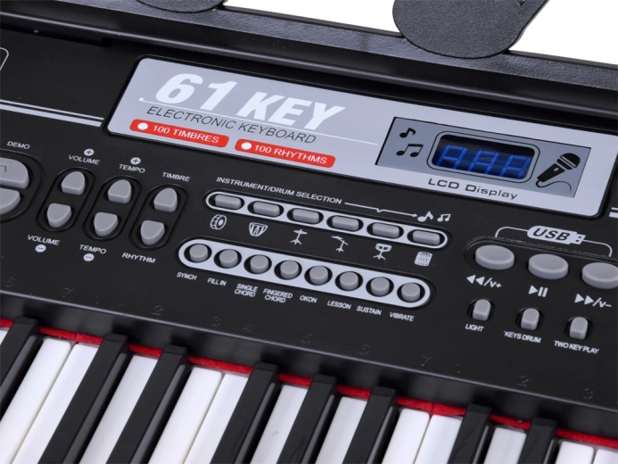 61 backlit keys for easy learning