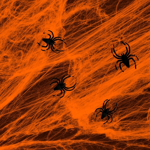 Oranž värviline Halloweeni ämblikuvõrk ämblikega