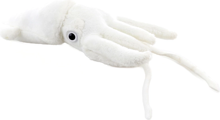 Realistlik kuju kombitsatega