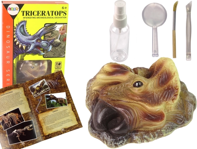 Educational Dig Kit Triceratops