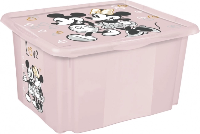 Storage Box Minnie Small Pink