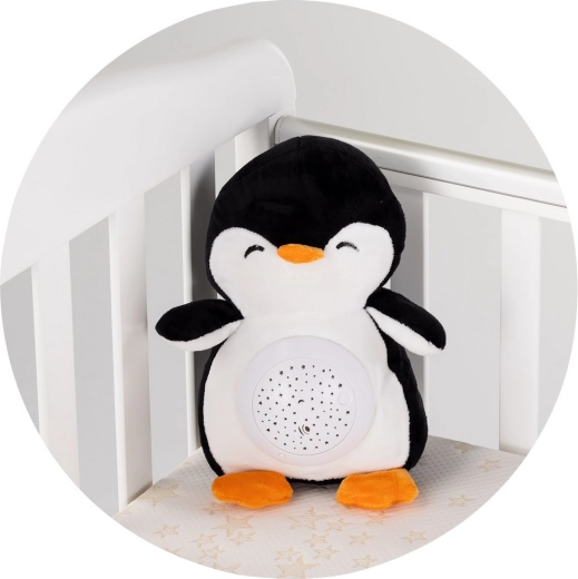 Easy care thanks to the removable module