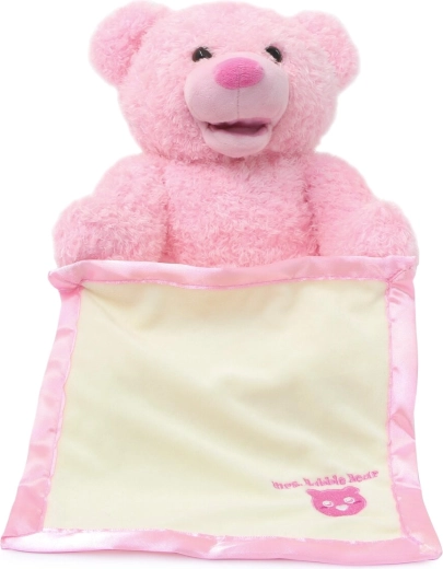 Soft companion with a blanket