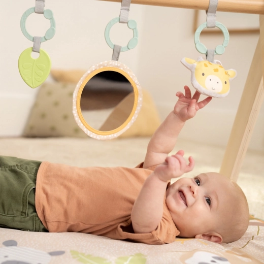 Sensory toys within reach
