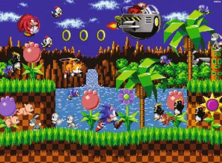 Puzzle Hedgehog Sonic 500 pieces