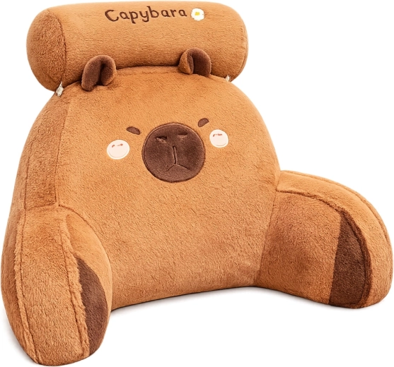 Removable pillow for head and neck