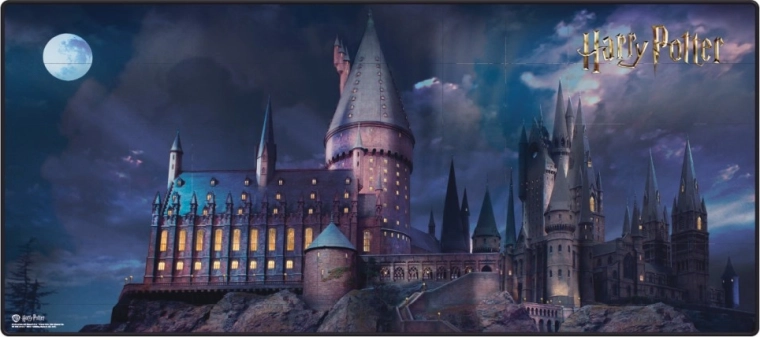 Mängumatt HARRY POTTER 90 × 40 cm