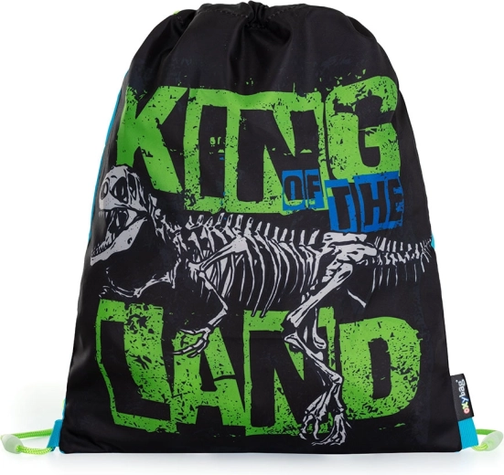 Premium dinosauruse motiiviga spordikott