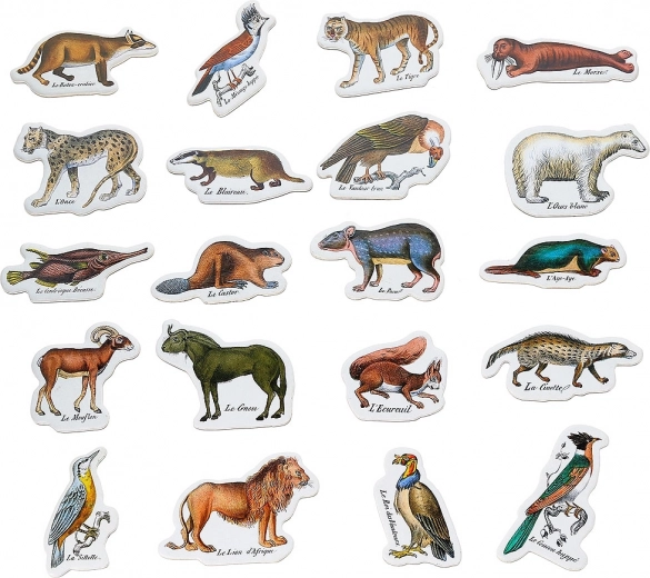 Zoological Magnets