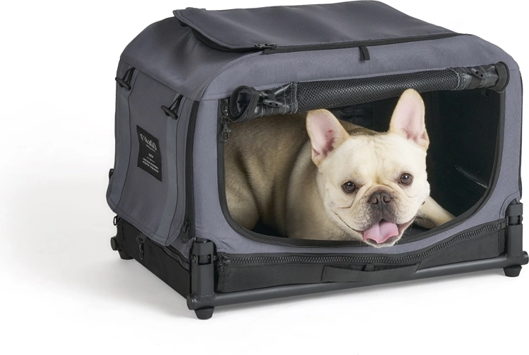 Ventilation, comfortable entry, and a calm retreat for your dog