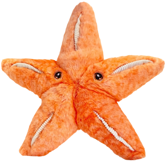 Keeleco plüüsist meritäht 25 cm