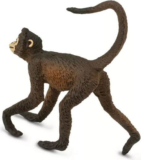 Typical pose with a long tail