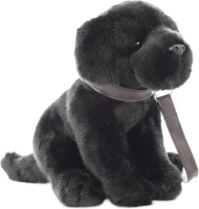 Pehme labrador rihmaga 30 cm – keskkonnasõbralik