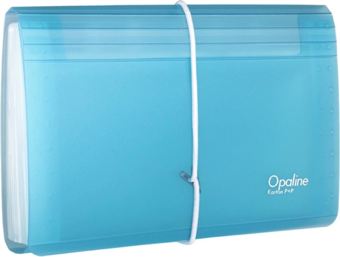 Document Organizer with Elastic DL Opaline Clear-Blue