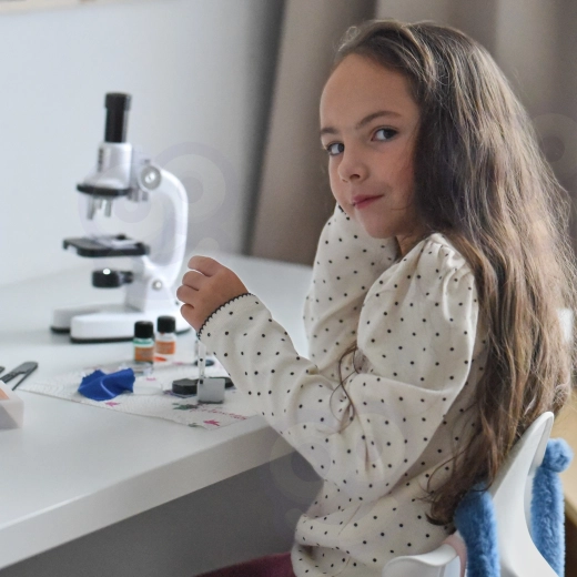 Magnification up to 1200×