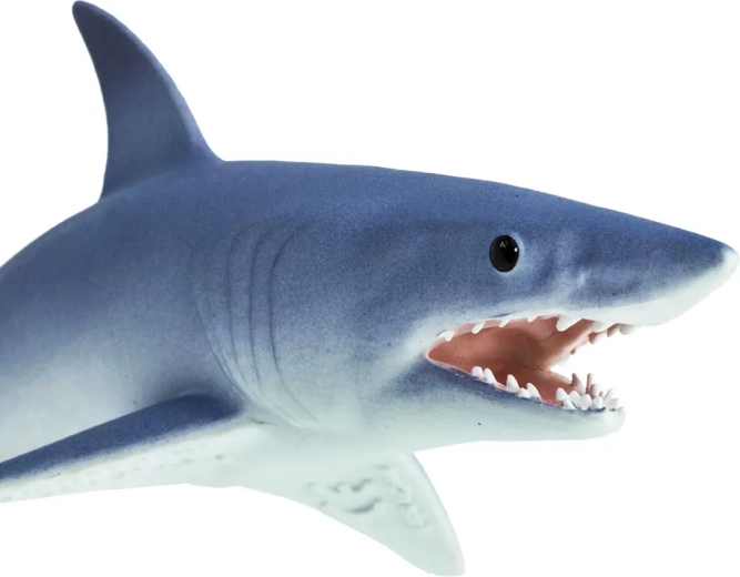 Safe and non-toxic toy