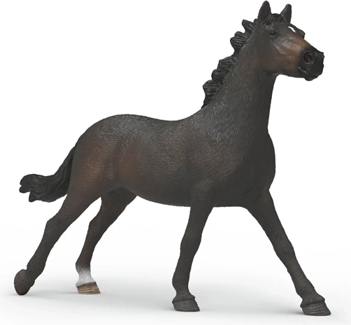 SLH English Thoroughbred Mare