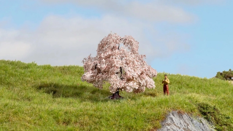 Veel üks kirss – Master Trees mudelpuu 6 cm