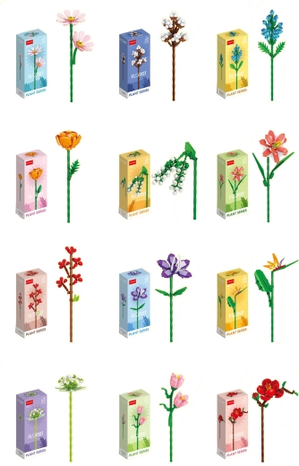 Florist värvikirevad suve- ja põllulilled (12 liiki)