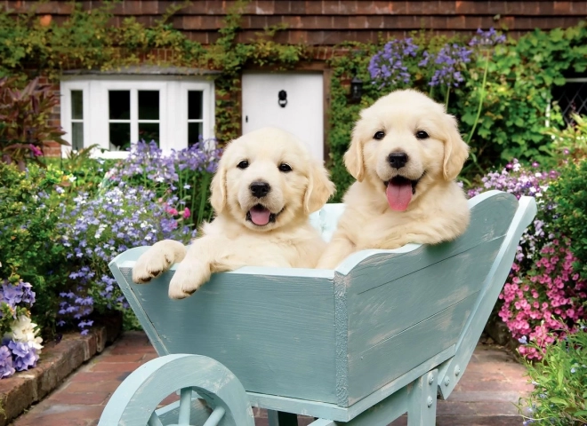 ANATOLIAN Puzzle Puppies in a Cart, 260 Pieces