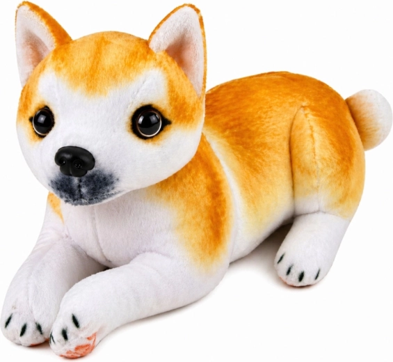 Shiba Inu realistlik välimus