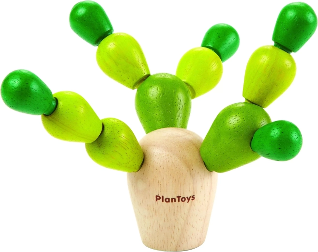 PlanToys mini tasakaalukaktus