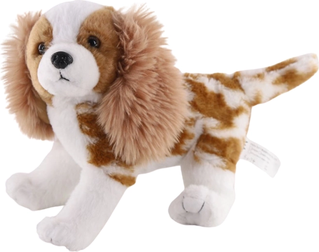 Pehme mängukoer Cavalier King Charlesi spanjel 26 cm